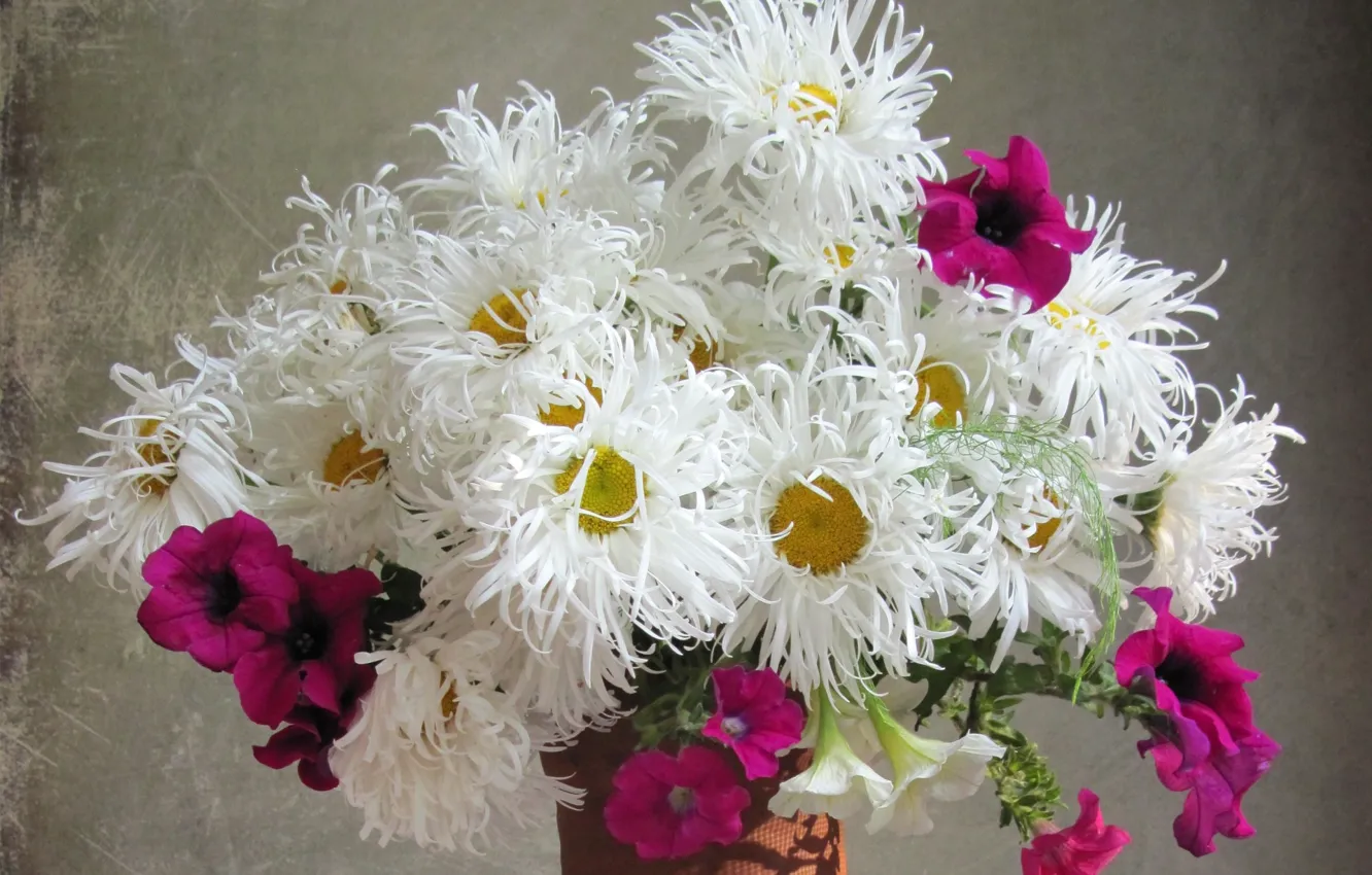 Photo wallpaper flowers, background, bouquet, composition, petunias, asters