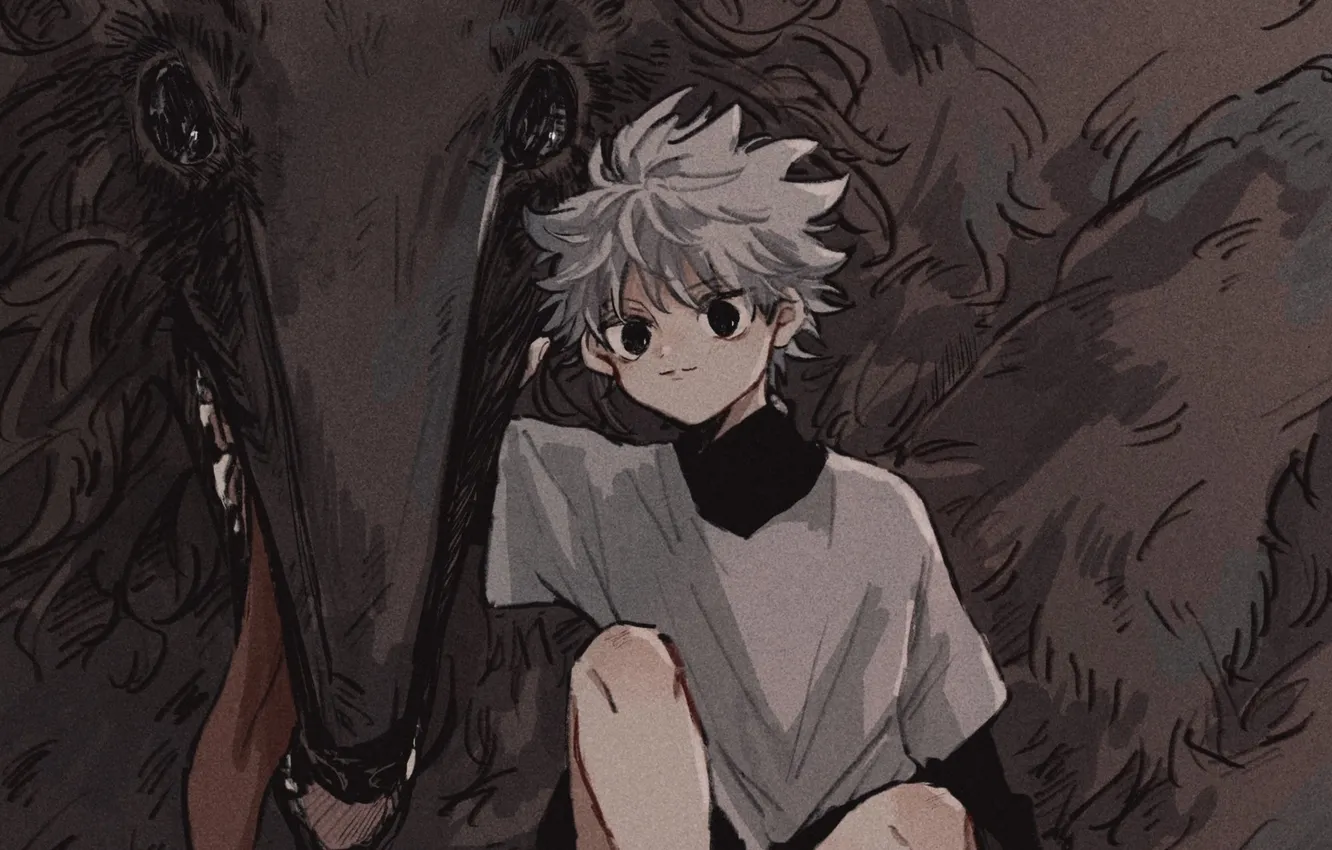 Photo wallpaper dog, boy, Hunter x Hunter, Killua, Hunter x Hunter, Killua Zoldik