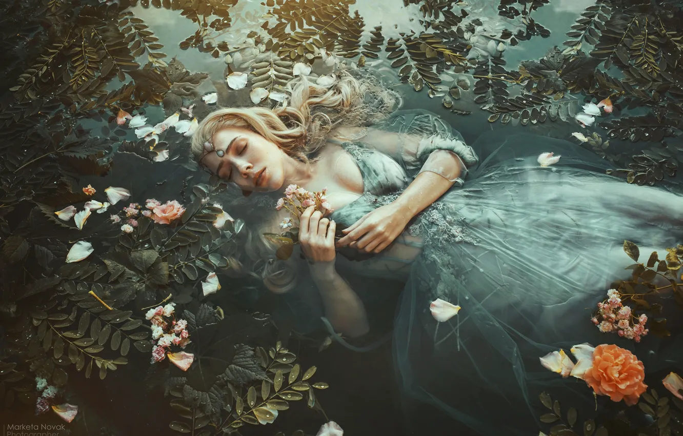Photo wallpaper leaves, water, girl, flowers, pose, mood, the situation, hands