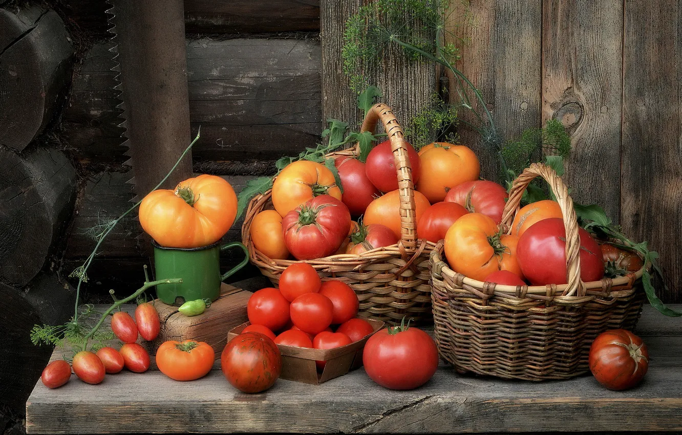 Photo wallpaper harvest, still life, tomatoes, tomatoes, home