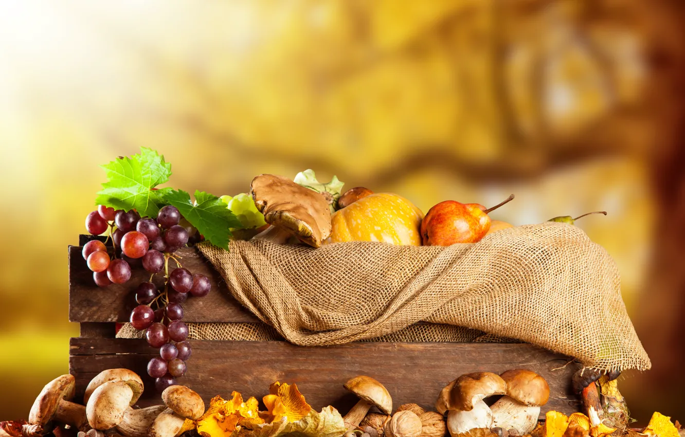Photo wallpaper autumn, mushrooms, harvest, grapes, box, burlap