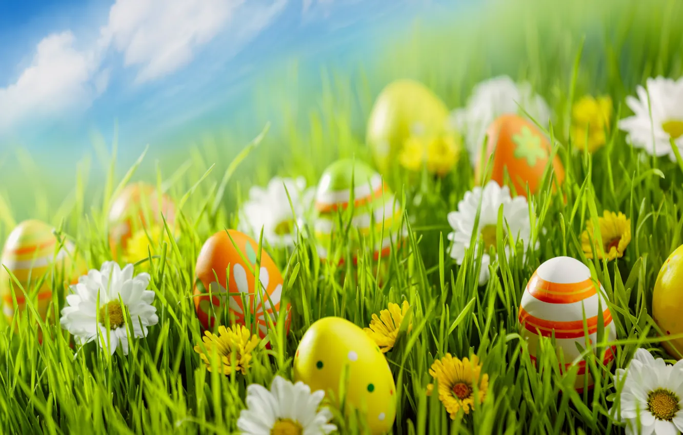 Photo wallpaper flowers, holiday, eggs, Easter, weed