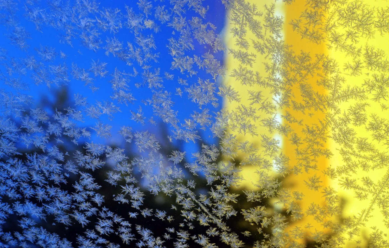 Photo wallpaper glass, surface, frost