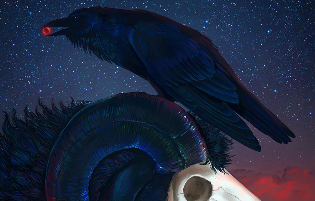 Photo wallpaper stars, night, skull, horns, Raven