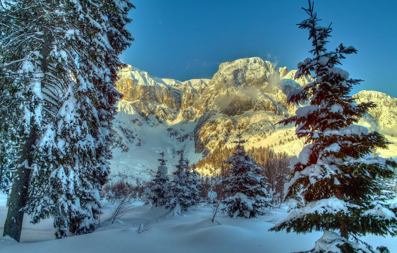 Photo wallpaper winter, snow, trees, mountains, nature, spruce, Austria, Alps