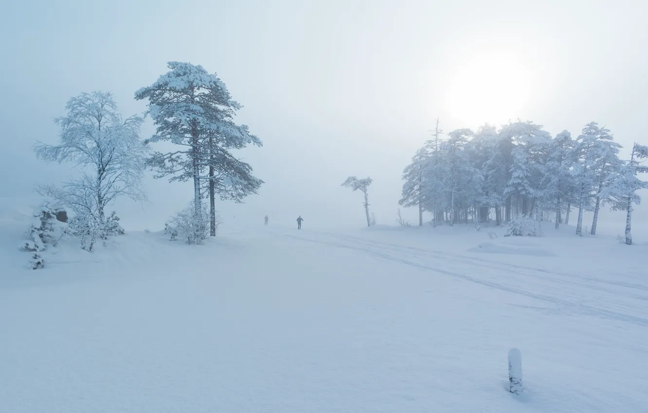 Photo wallpaper winter, snow, fog