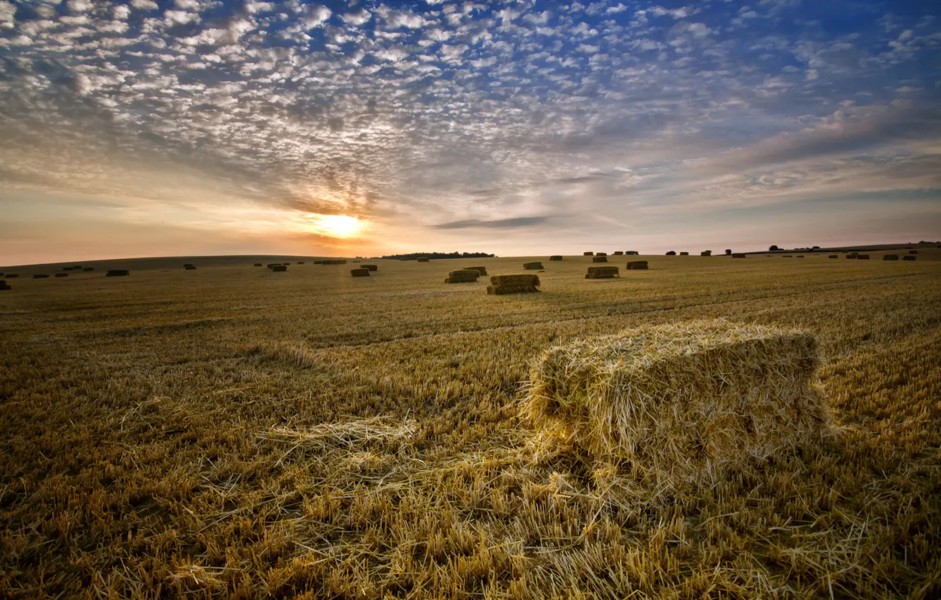Photo wallpaper field, landscape, sunset, hay