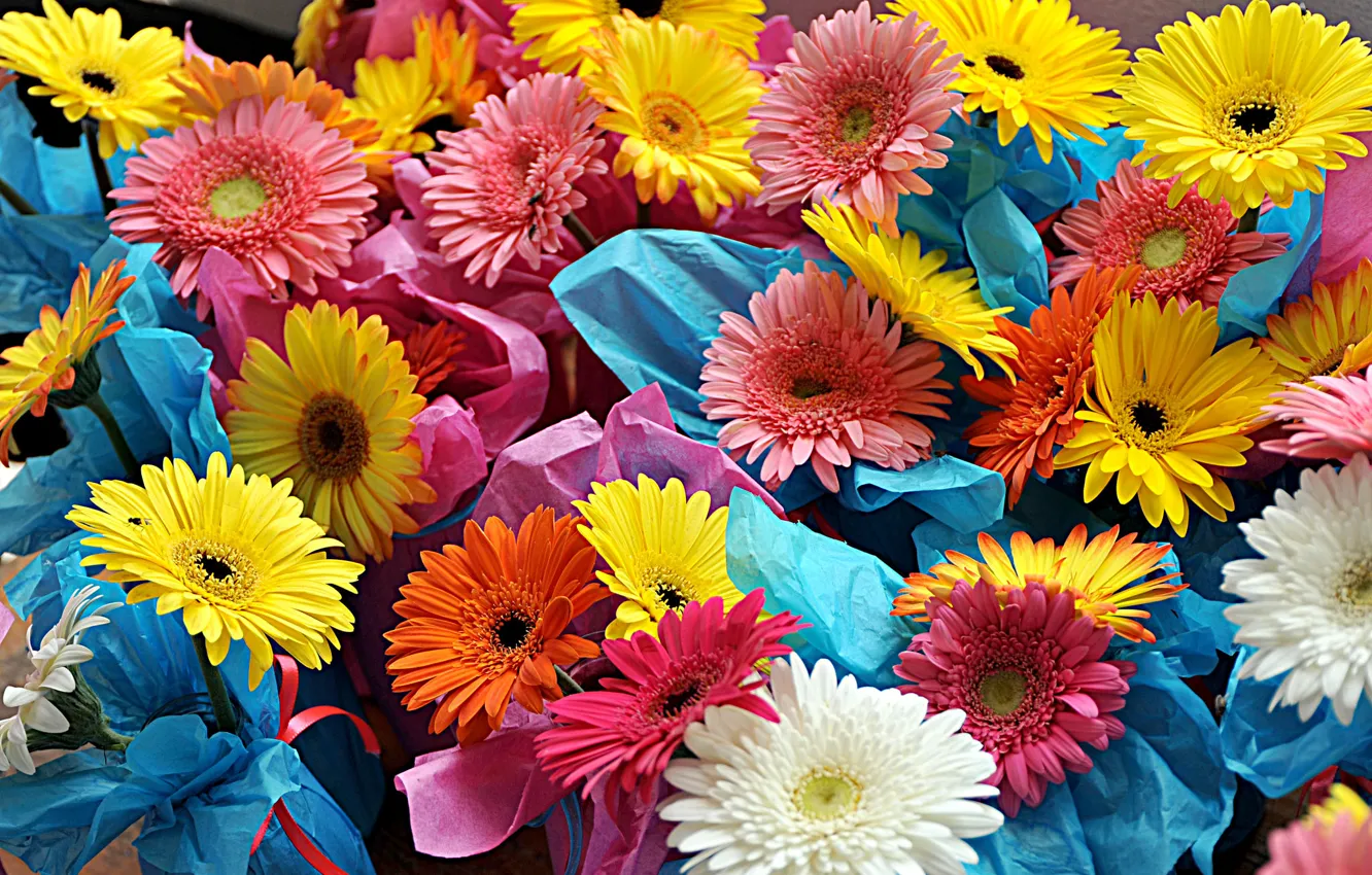 Photo wallpaper paint, bouquet, petals, gerbera