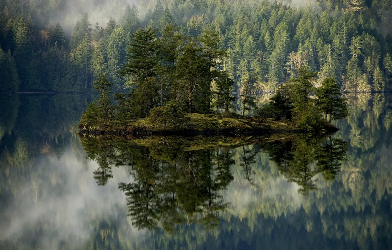 Photo wallpaper trees, mountains, fog, lake, island