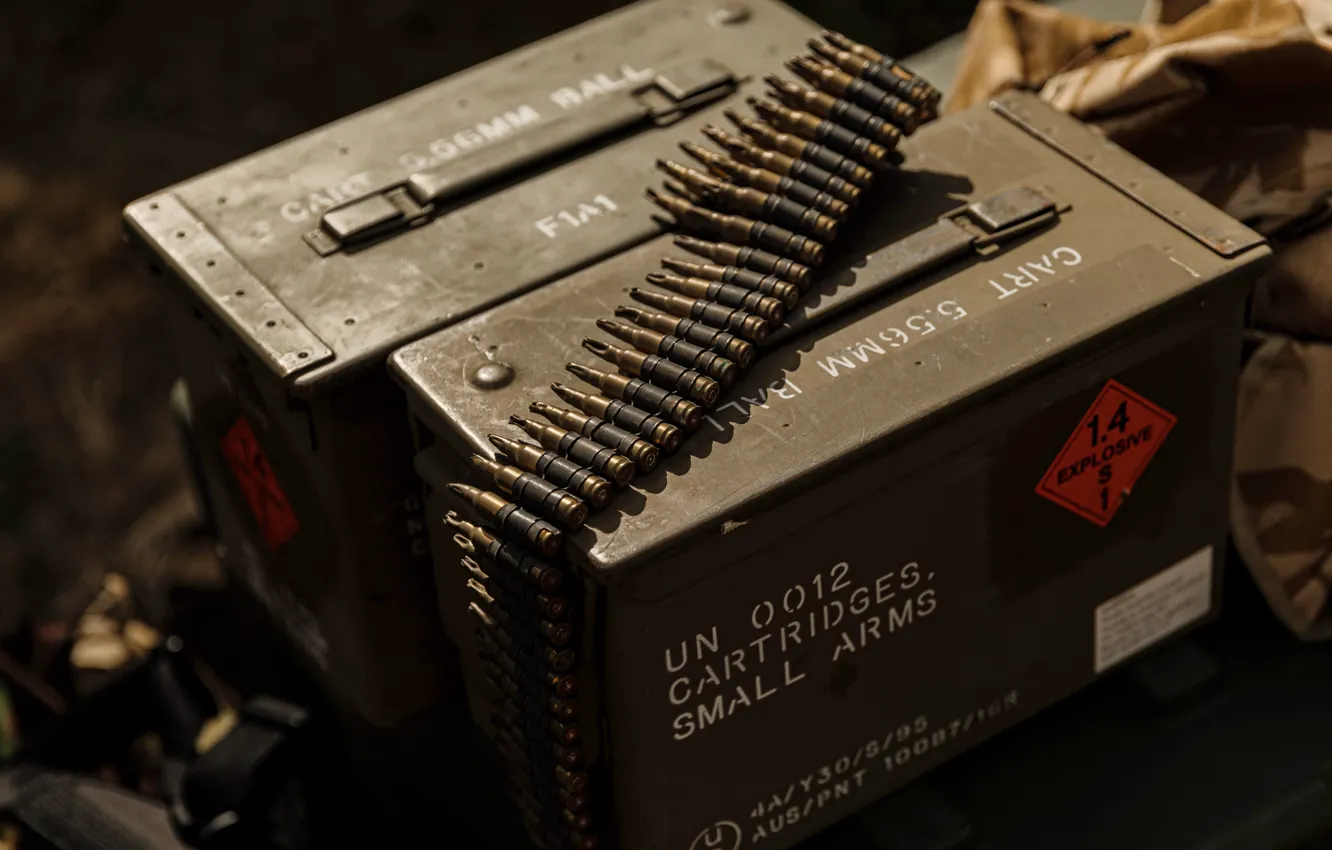 Photo wallpaper weapons, box, cartridges