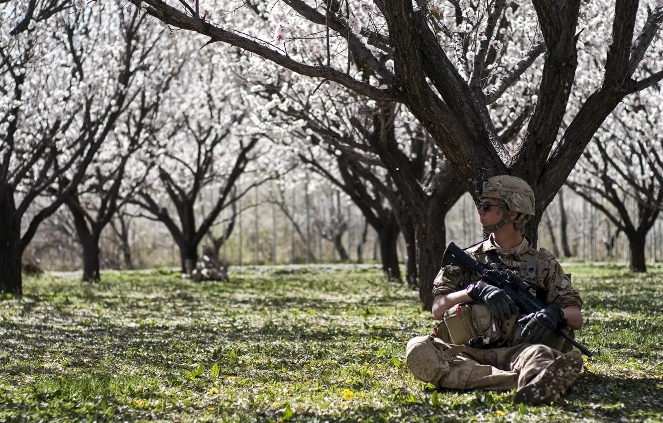 Photo wallpaper weapons, garden, soldiers