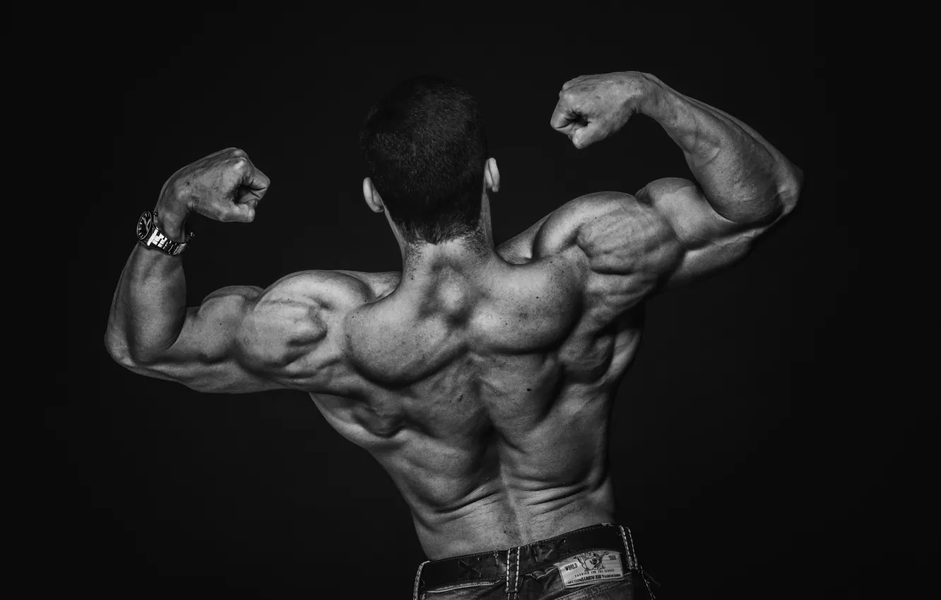 Photo wallpaper pose, back, Muscle, muscle, back, biceps, workout, weight