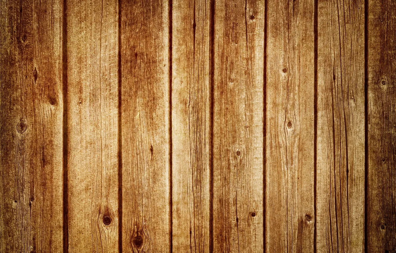 Photo wallpaper macro, tree, Board, texture, wood