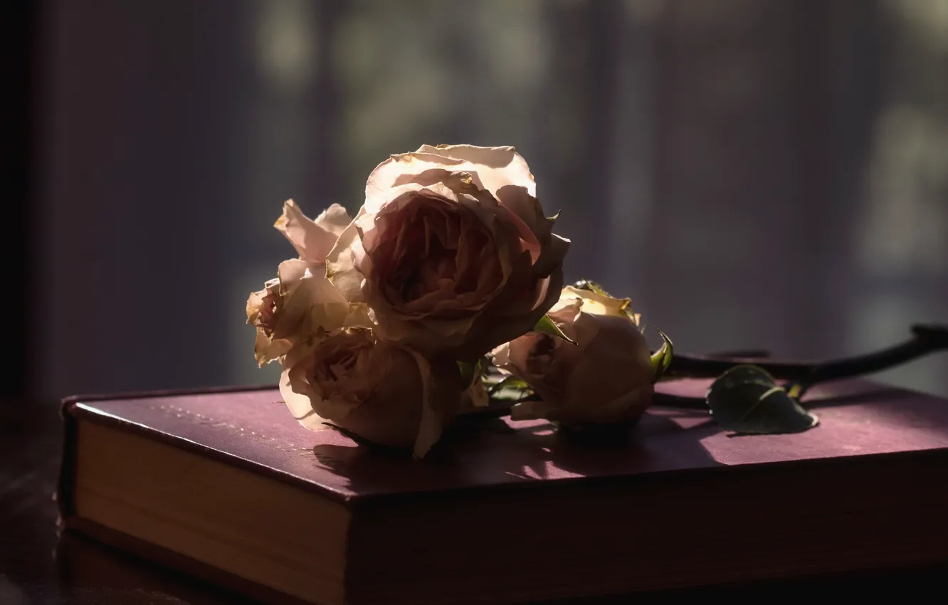 Photo wallpaper flowers, roses, book