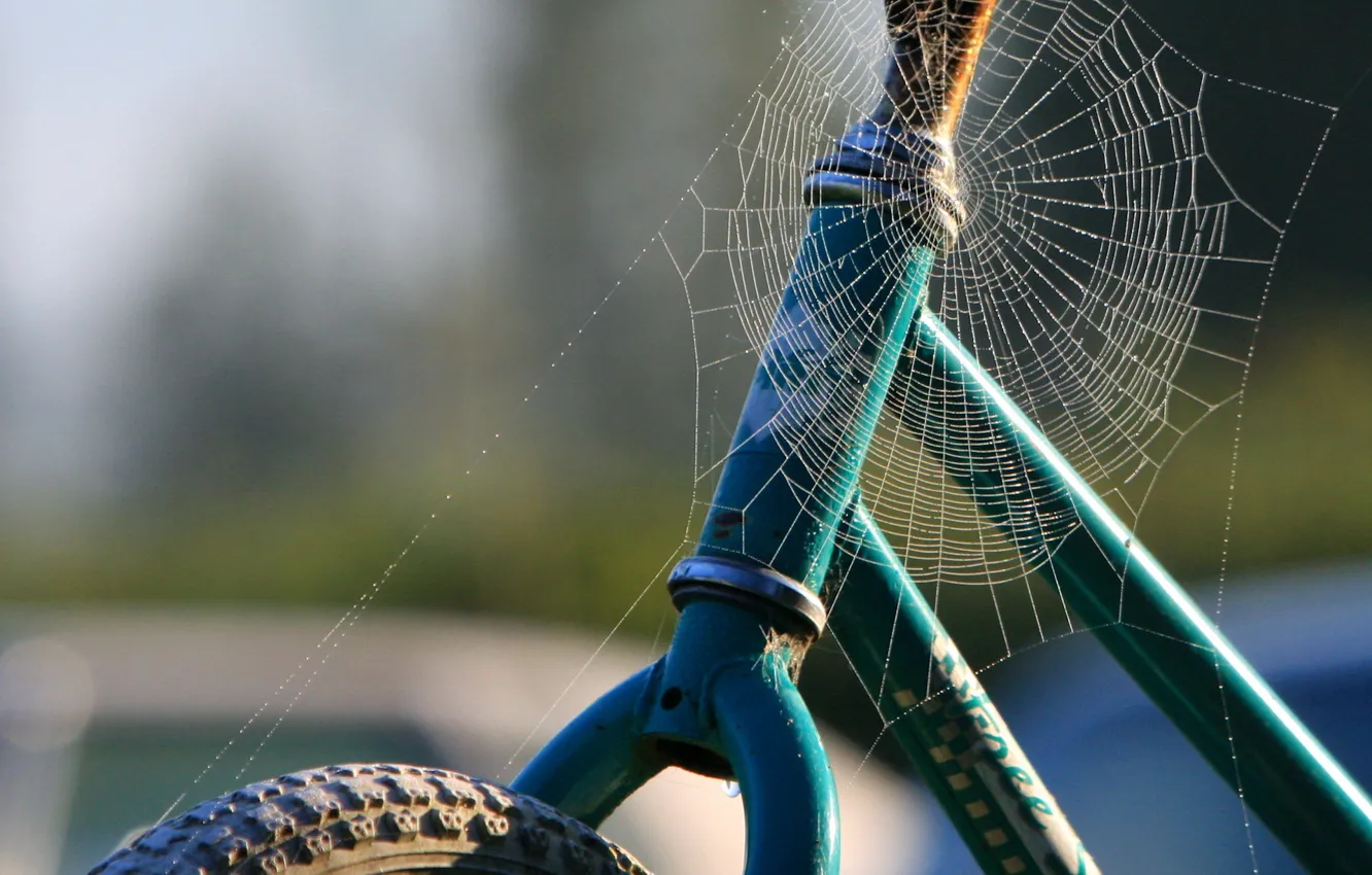 Photo wallpaper web, 158, Bike