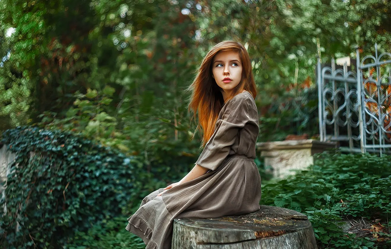 Photo wallpaper Girl, Look, Forest, Hair, Dress, Stump, Beautiful, Red