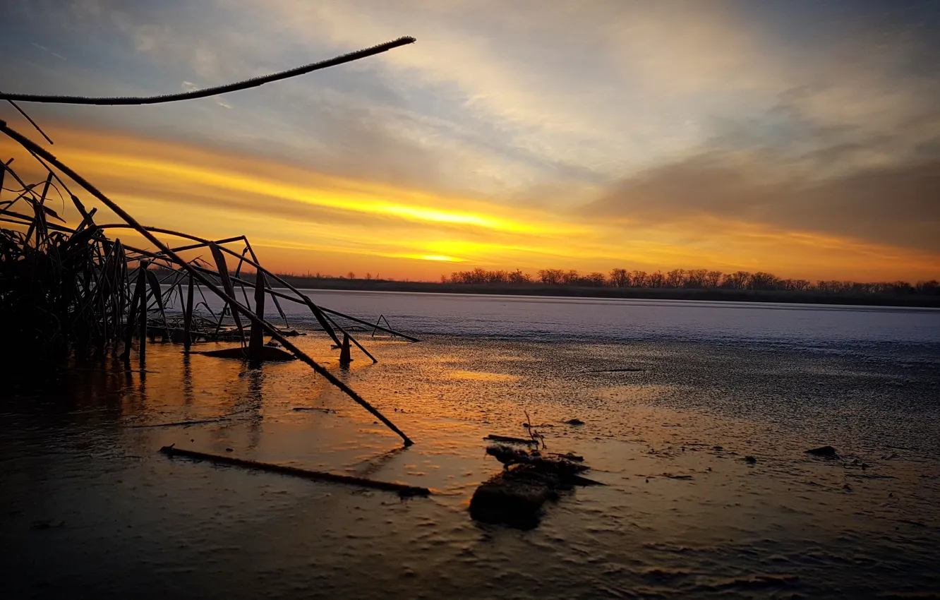 Photo wallpaper cold, ice, winter, snow, lake, reed, Weights, Gulkevichi