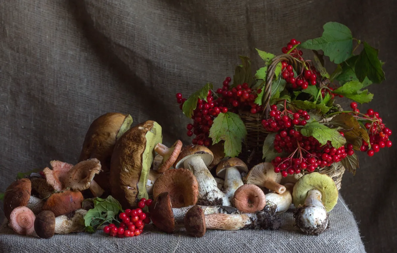 Photo wallpaper autumn, berries, mushrooms, Kalina