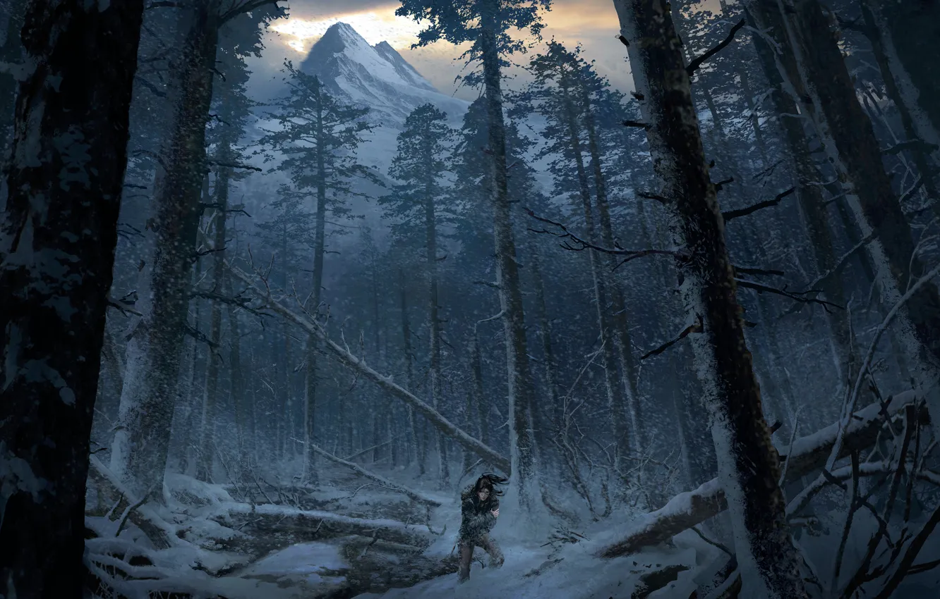 Photo wallpaper Girl, Mountains, Snow, Forest, Art, Tomb raider, Lara croft, Siberia