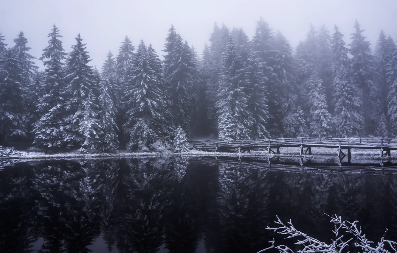Photo wallpaper winter, forest, snow, reflection, trees, bridge, fog, lake