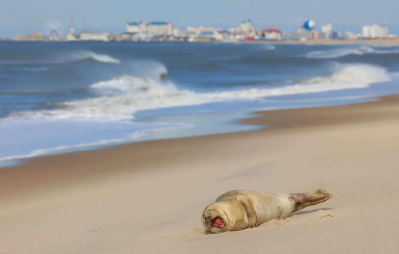 Photo wallpaper sand, sea, wave, language, beach, the city, stay, shore