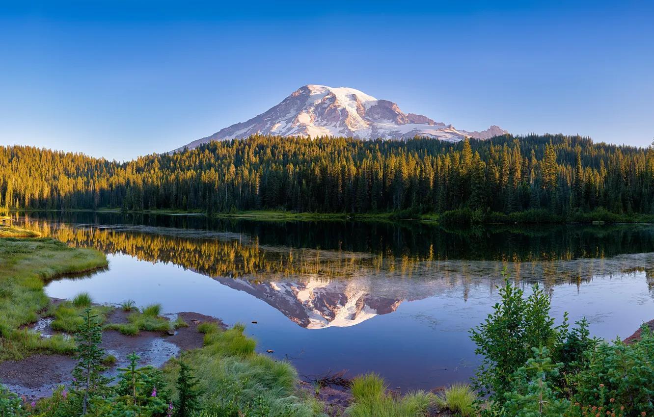 Photo wallpaper forest, summer, mountains, lake, reflection, blue, shore, vegetation