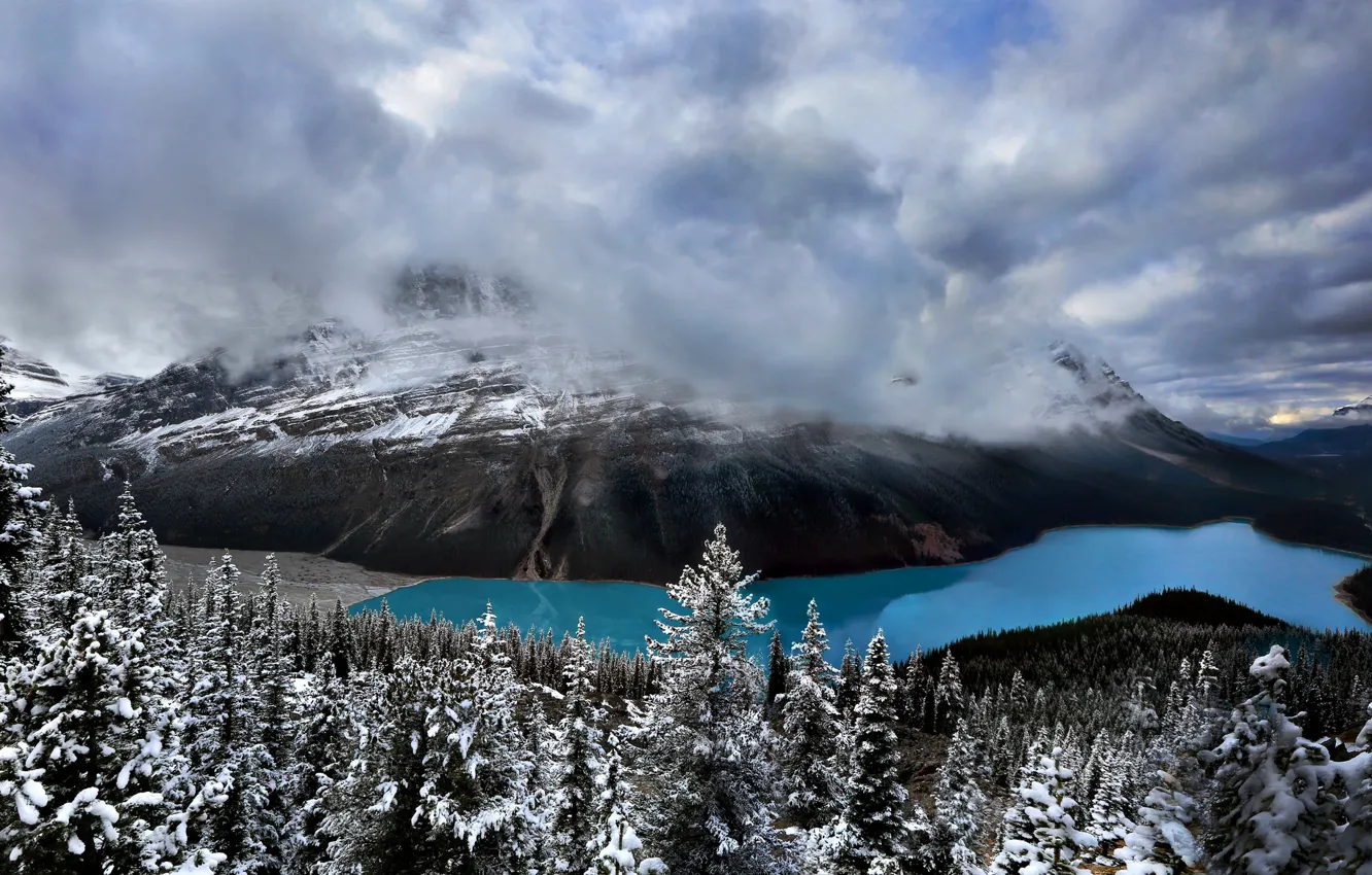 Photo wallpaper Peyto Lake, Canada, Banff National Park