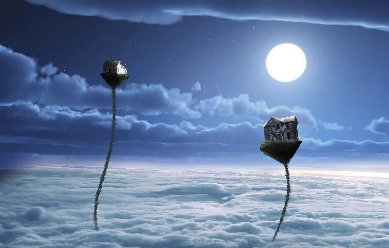 Photo wallpaper the sky, clouds, night, the moon, home, dal, stem, horizon