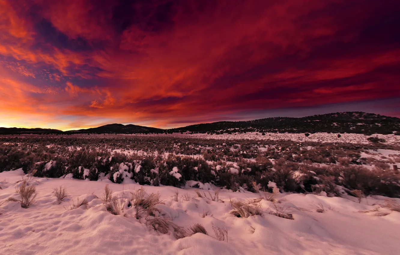 Photo wallpaper winter, field, the sky, clouds, snow, landscape, sunset, sunrise
