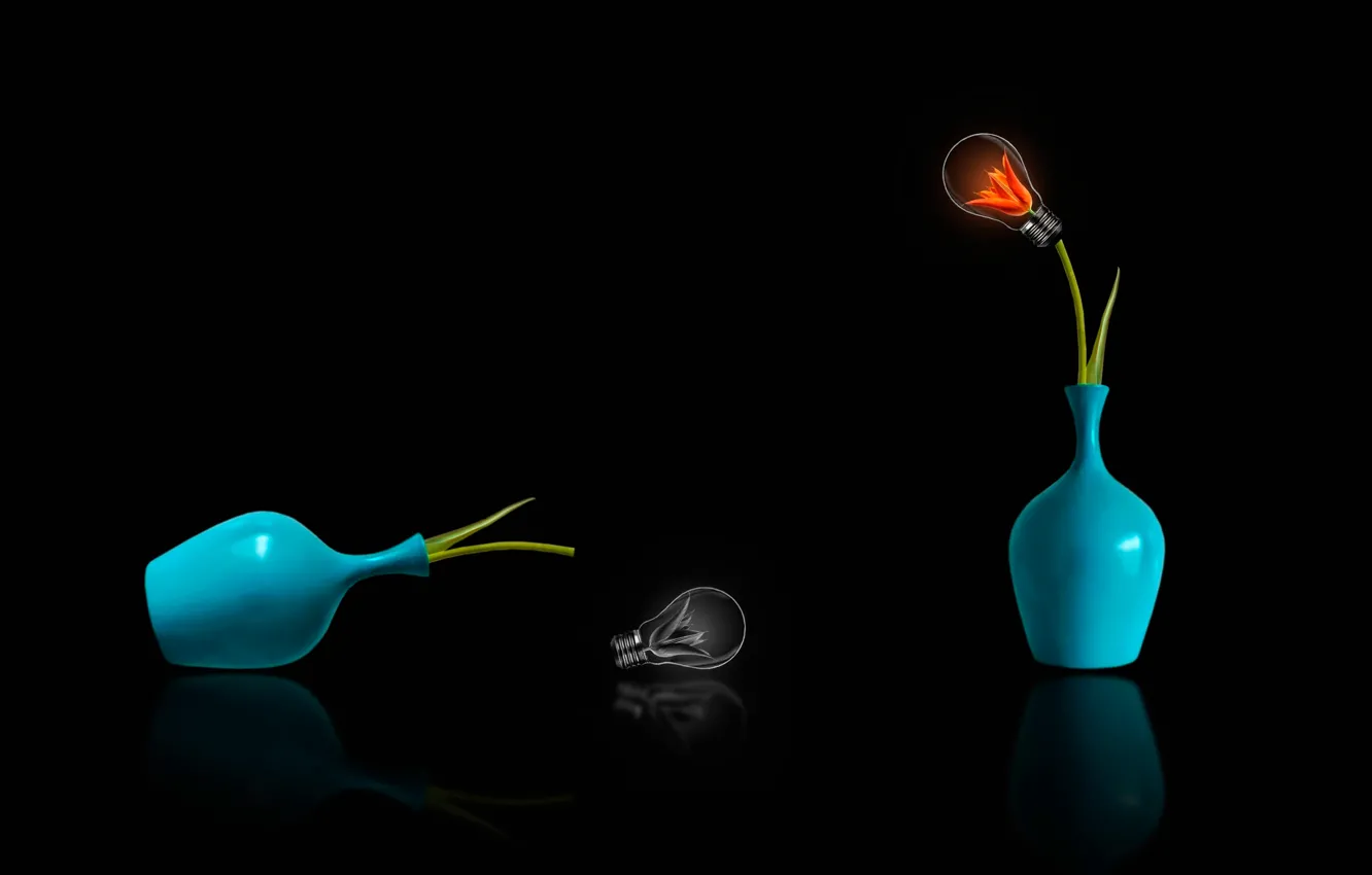 Photo wallpaper flowers, lamp, drop, vase, flowering