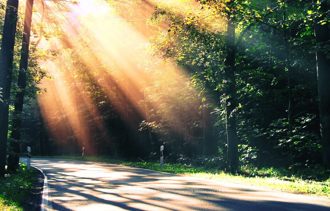 Photo wallpaper road, summer, light, turn, the sun's rays