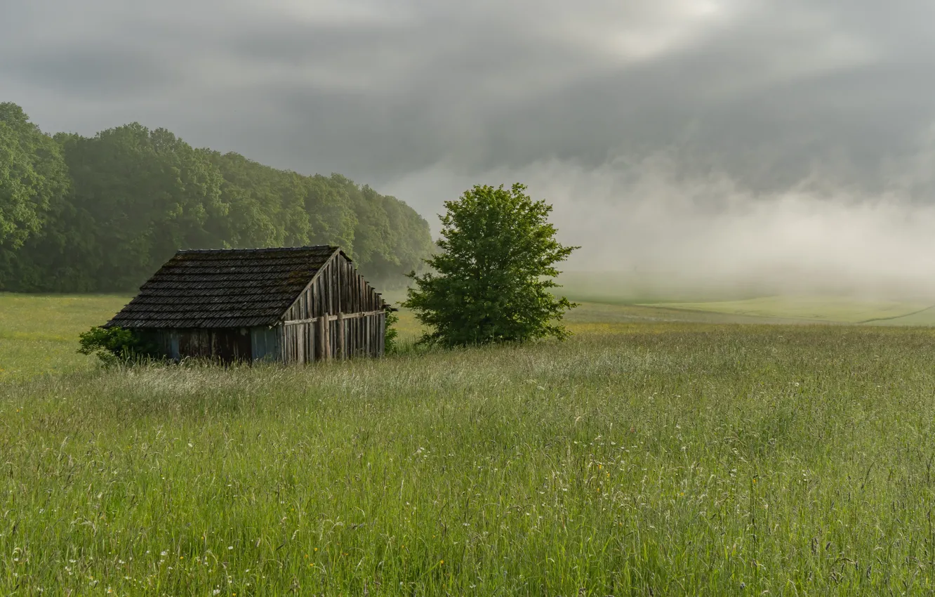 Photo wallpaper field, summer, fog, house
