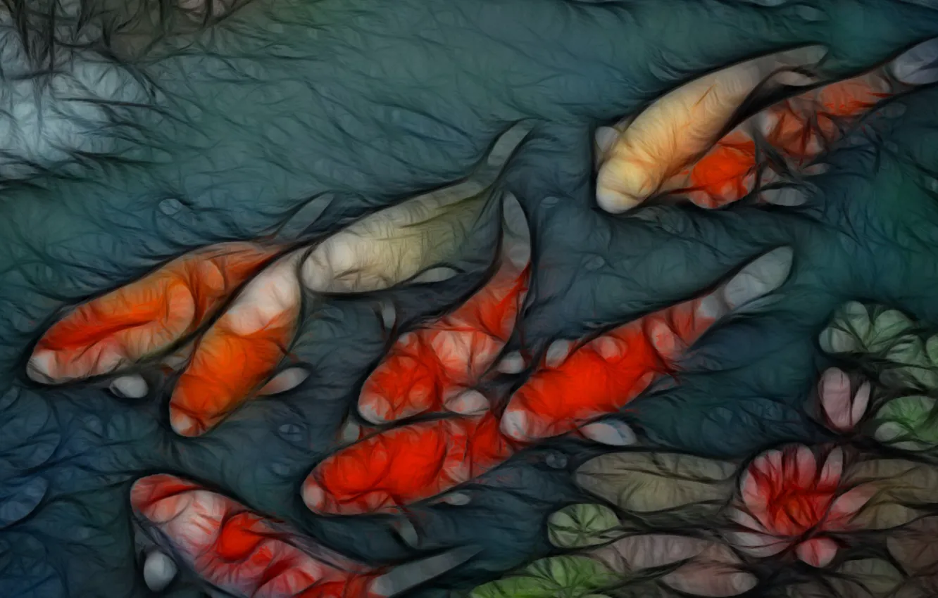 Photo wallpaper water, fish, figure, carp