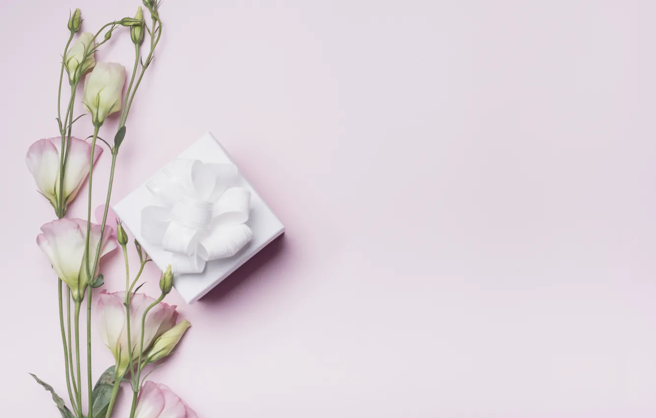 Photo wallpaper flowers, background, gift, love, pink, box, pink, flowers