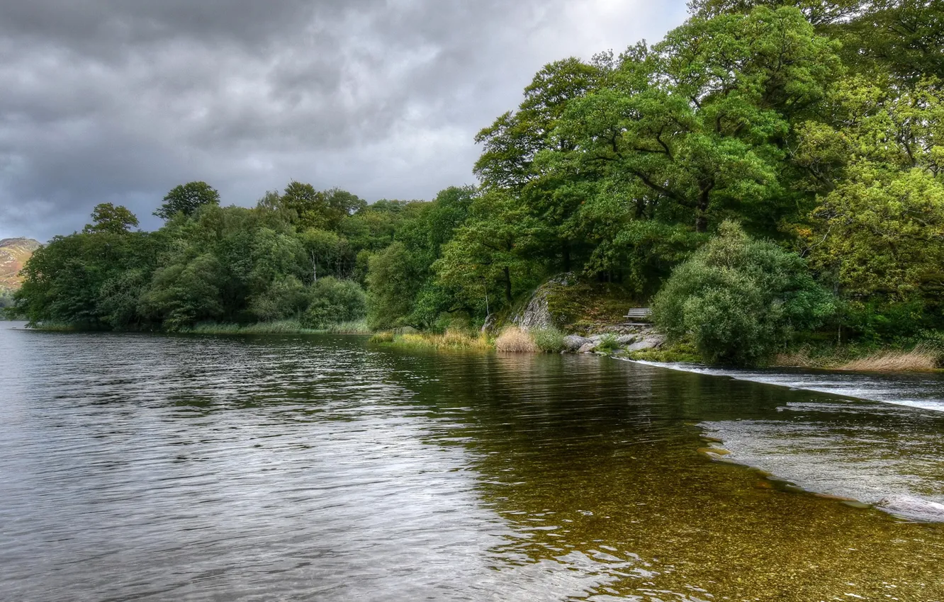 Photo wallpaper trees, river, England
