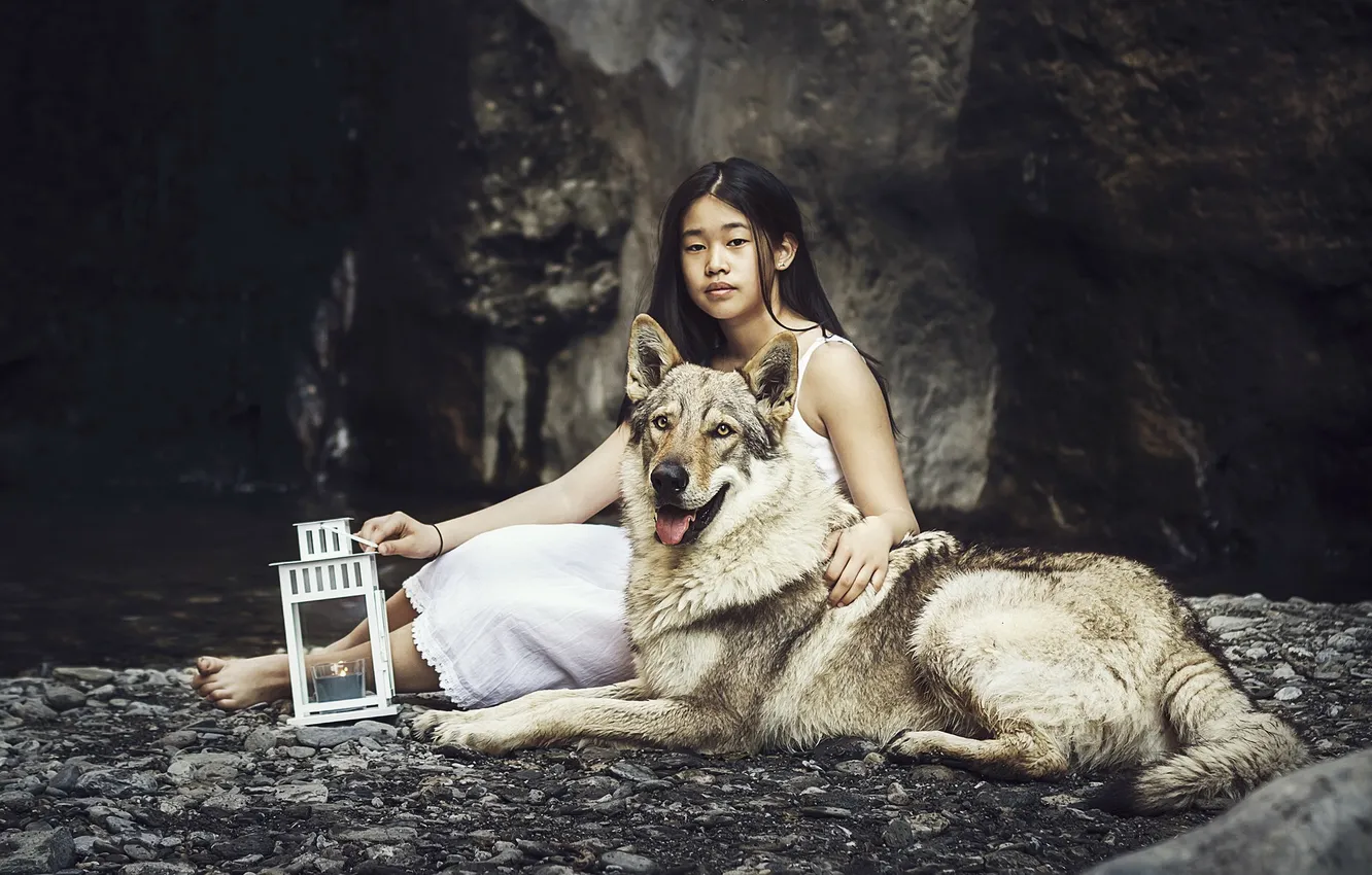 Photo wallpaper background, dog, girl