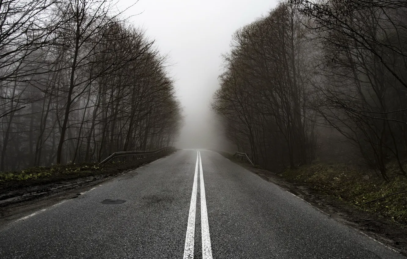 Photo wallpaper road, nature, fog