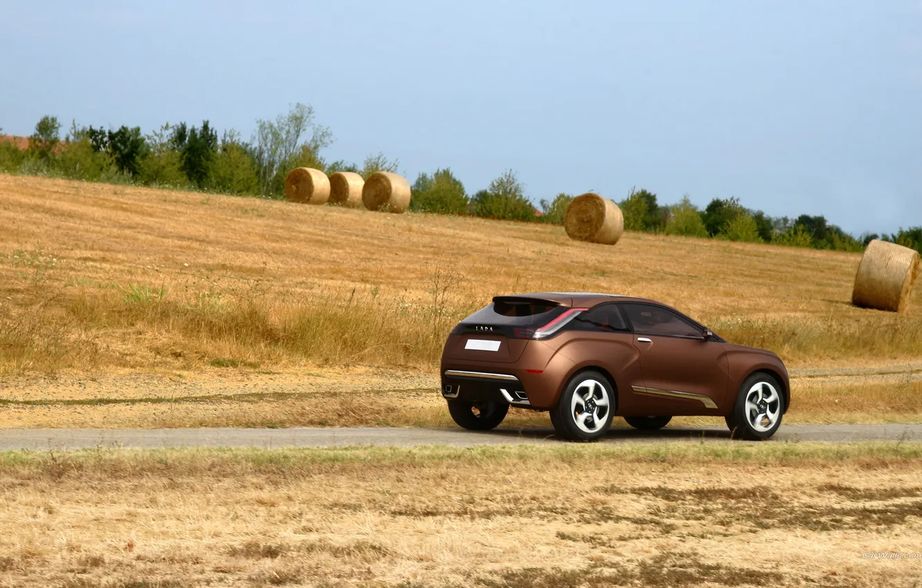 Photo wallpaper field, Concept, the concept, X-Ray, brown, Lada, Lada, crossover