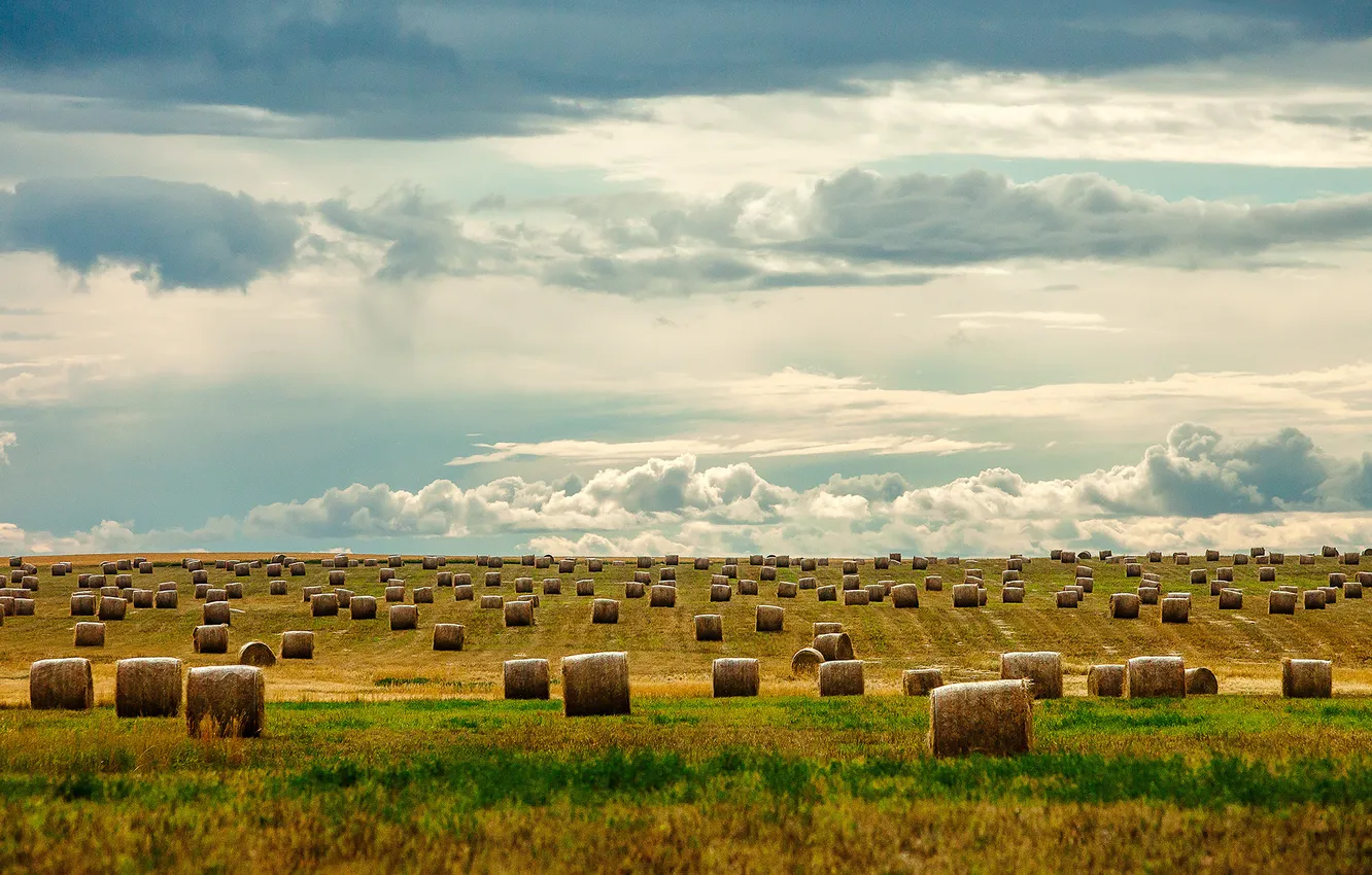 Photo wallpaper the sky, grass, clouds, field, horizon, hay, the countryside, farm