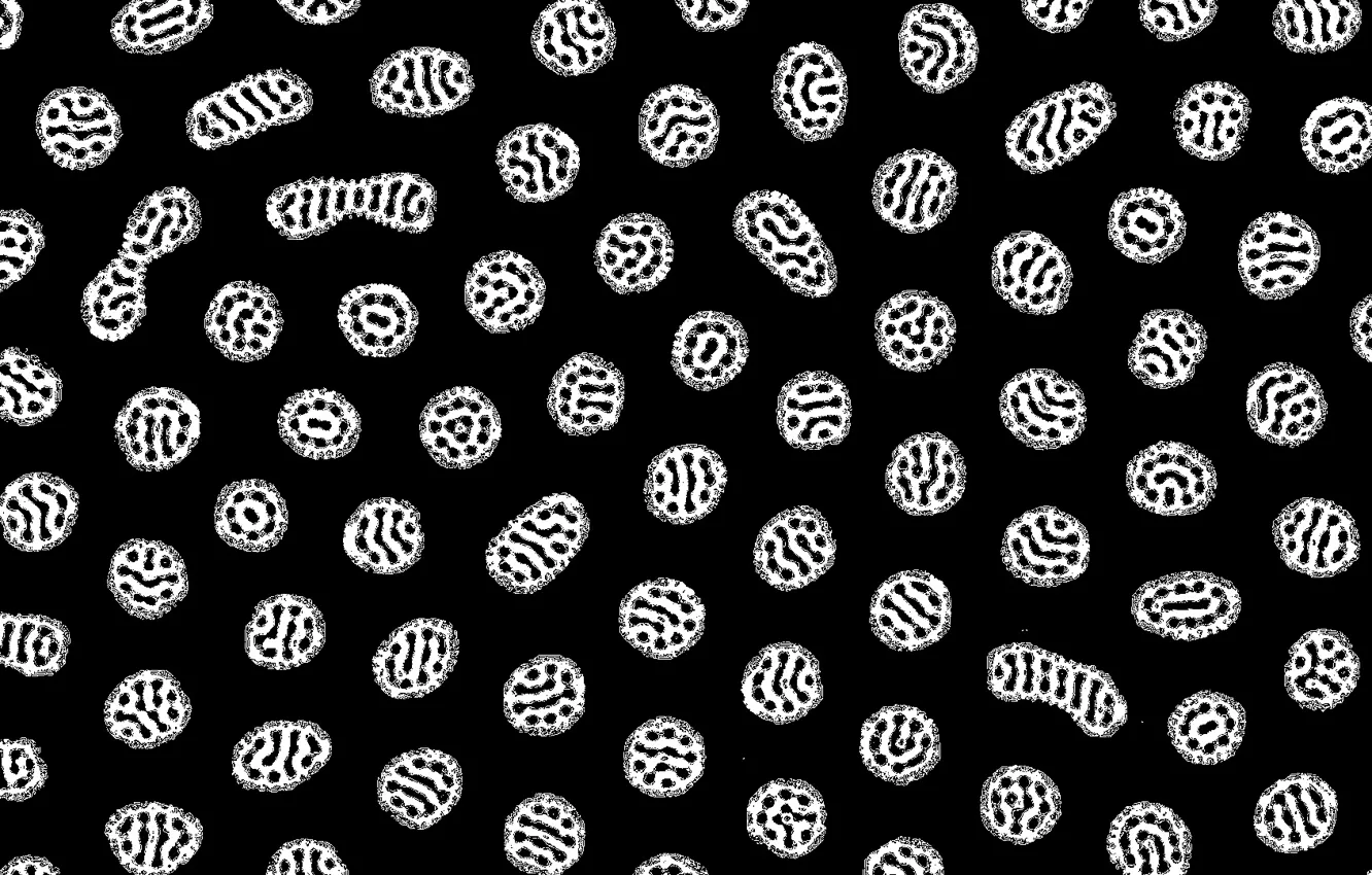 Photo wallpaper black background, microbe, tatasz, by tatasz
