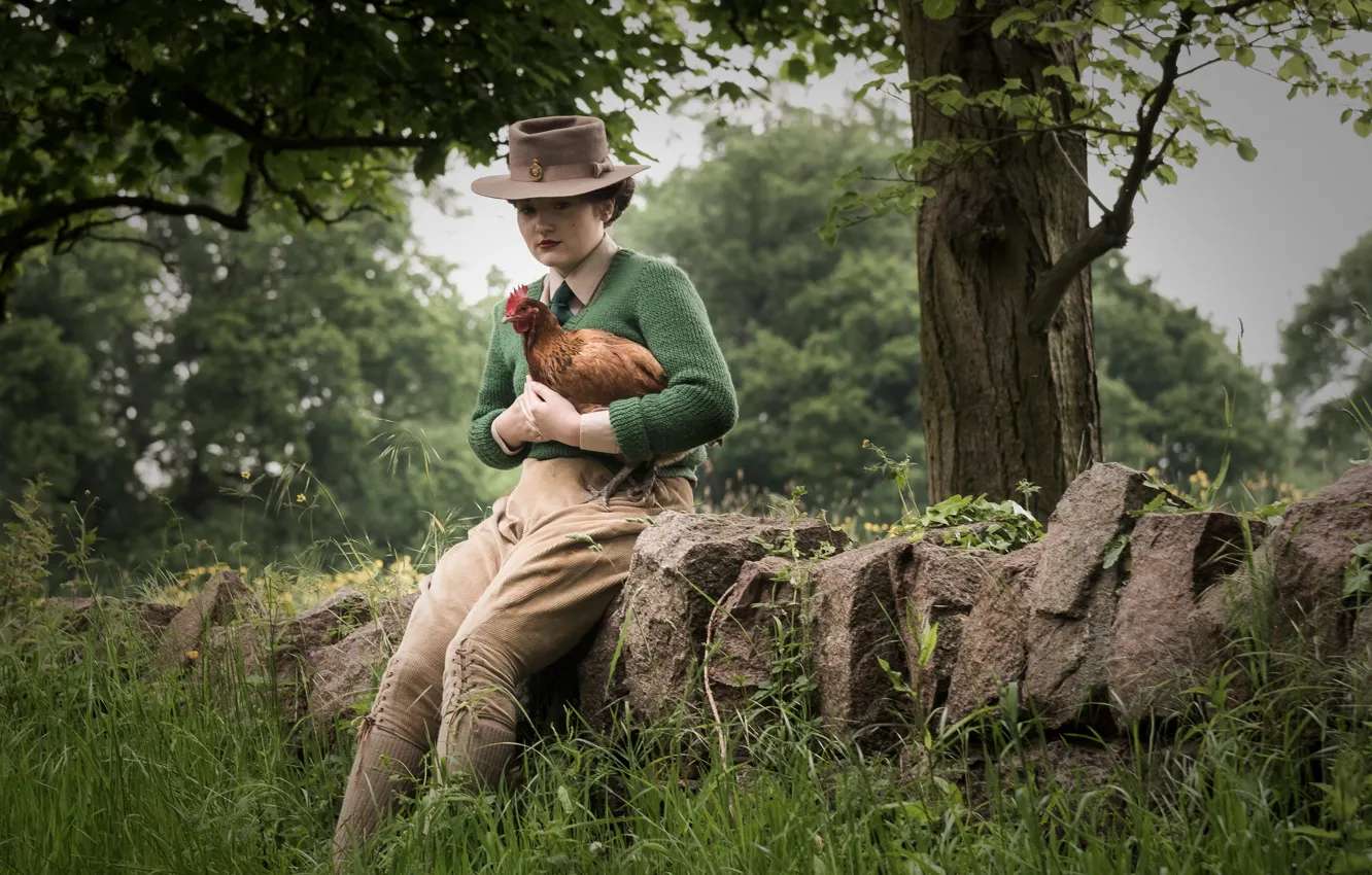 Photo wallpaper girl, background, chicken
