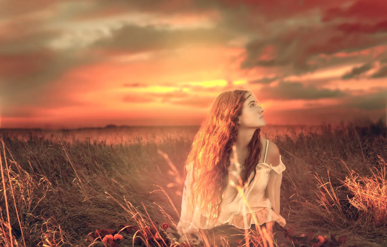 Photo wallpaper grass, girl, clouds, sunset, mood, meadow