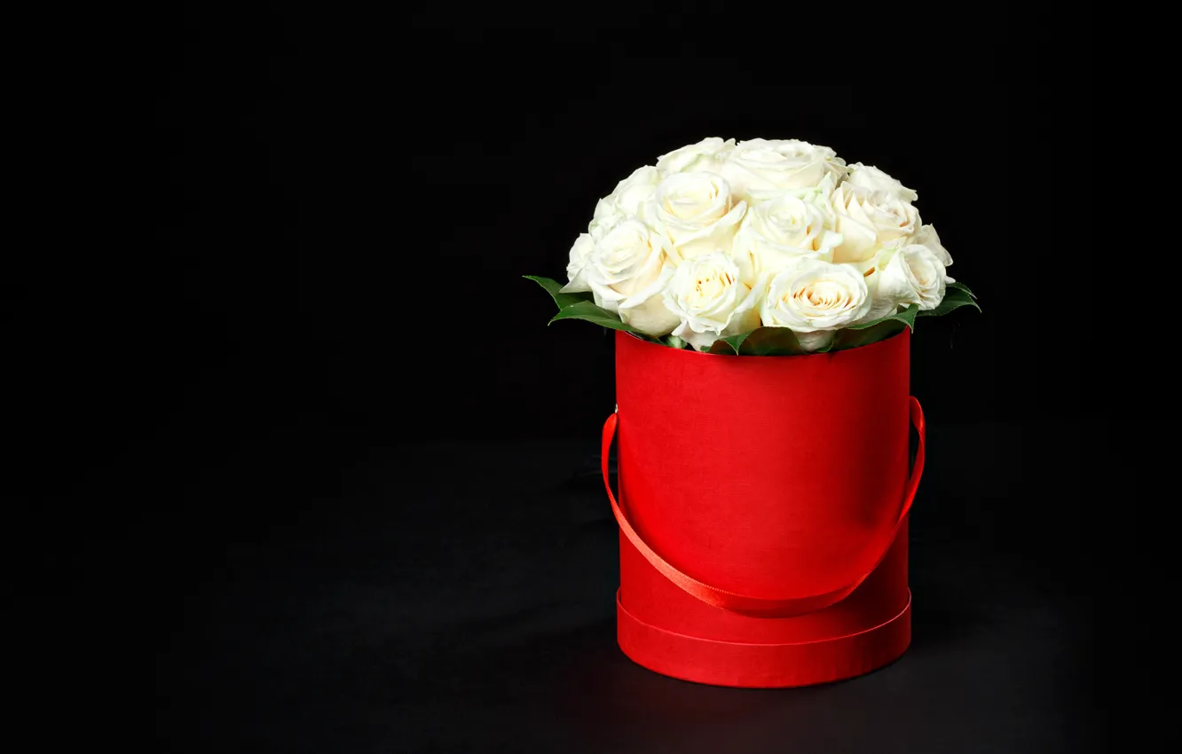 Photo wallpaper flowers, box, roses, bouquet, white, black background, red