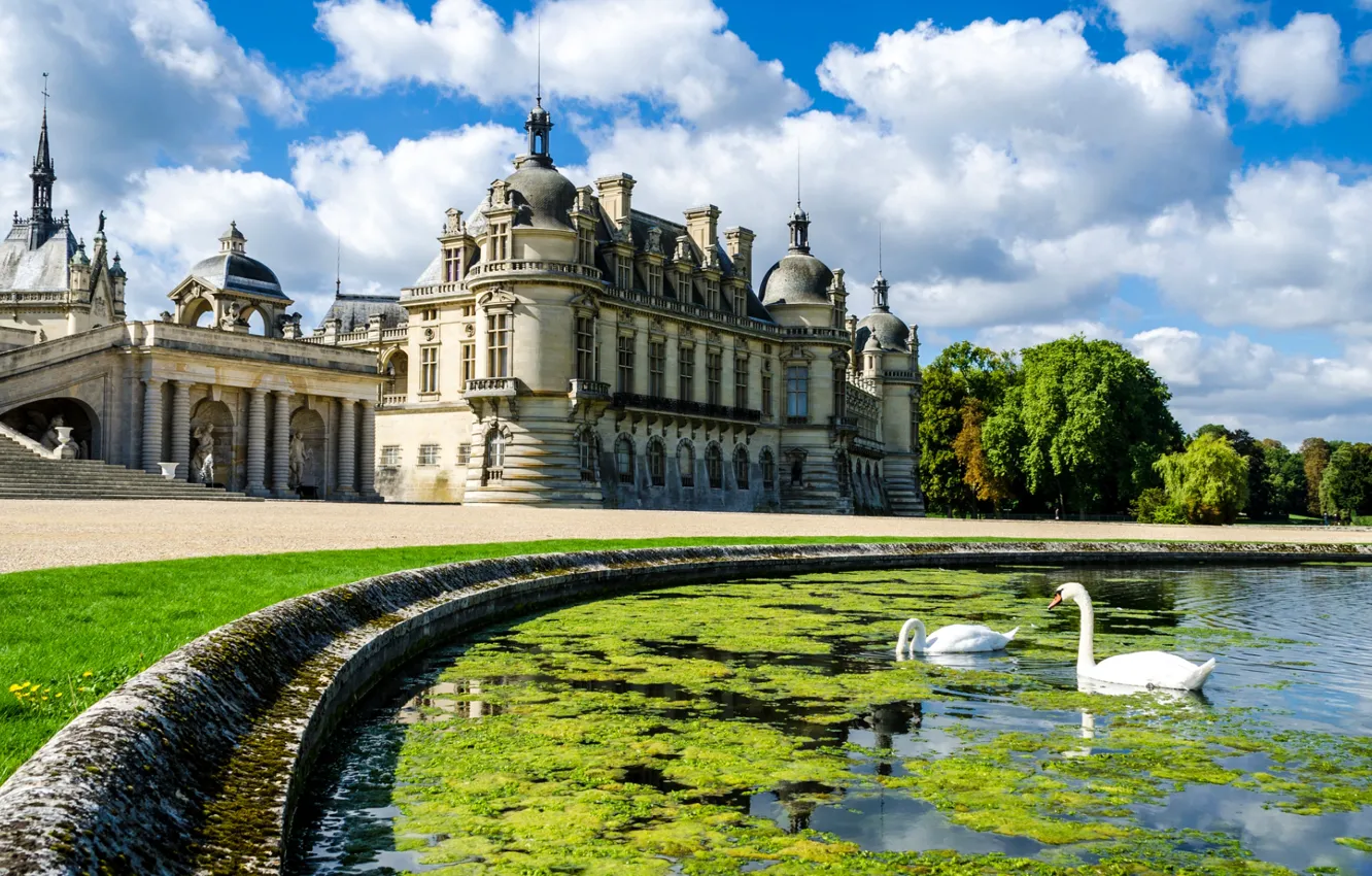 Photo wallpaper the sky, clouds, trees, pond, castle, swans, Palace