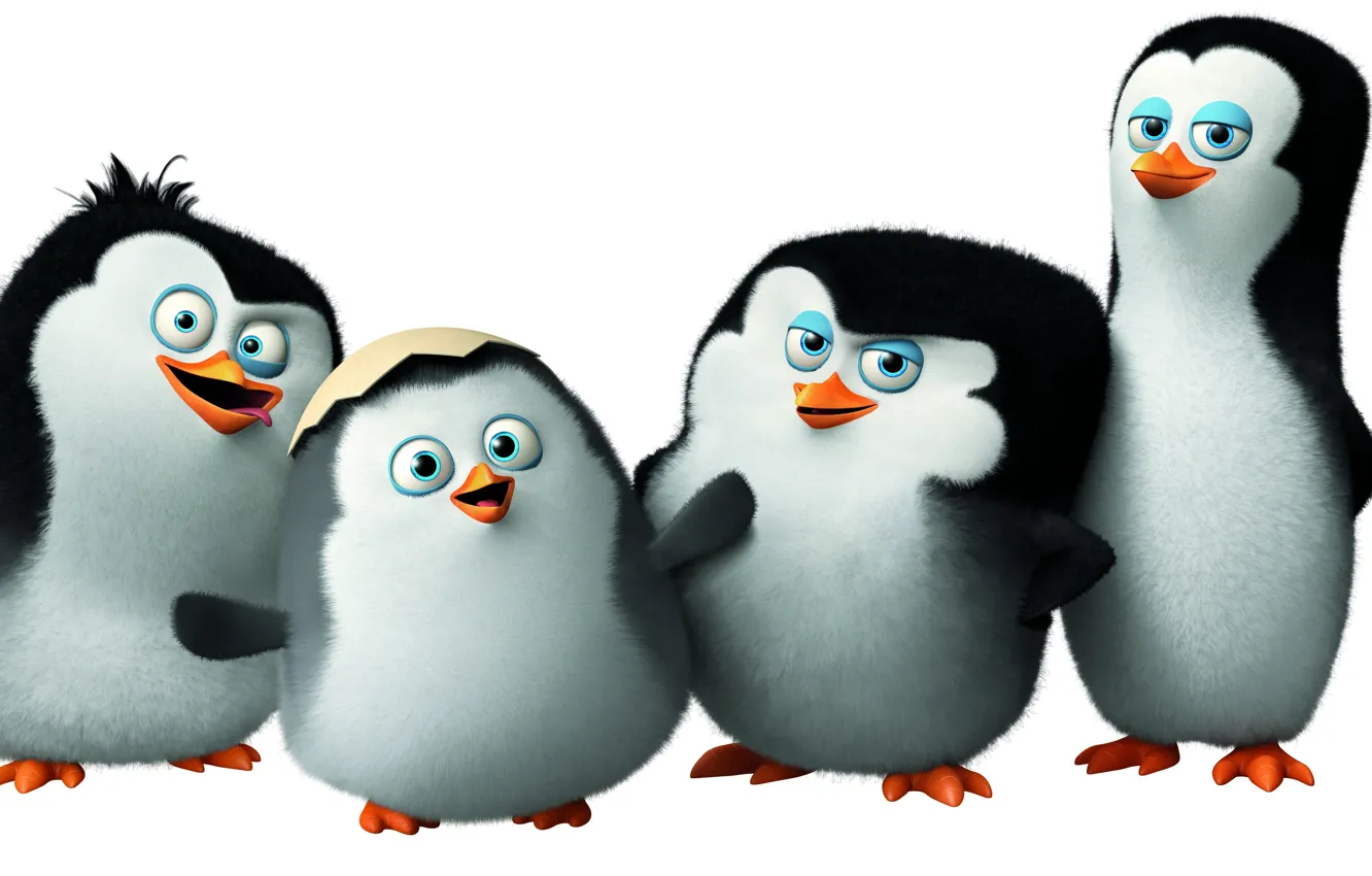 Photo wallpaper cartoon, Classified, Penguins of Madagascar, the penguins of Madagascar