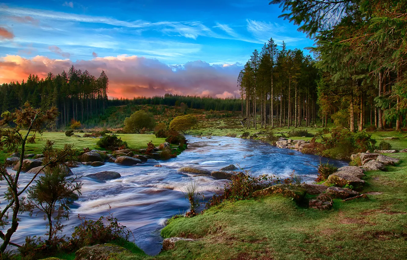 Photo wallpaper forest, clouds, river, morning, Devon, Dartmoor national Park, South West England