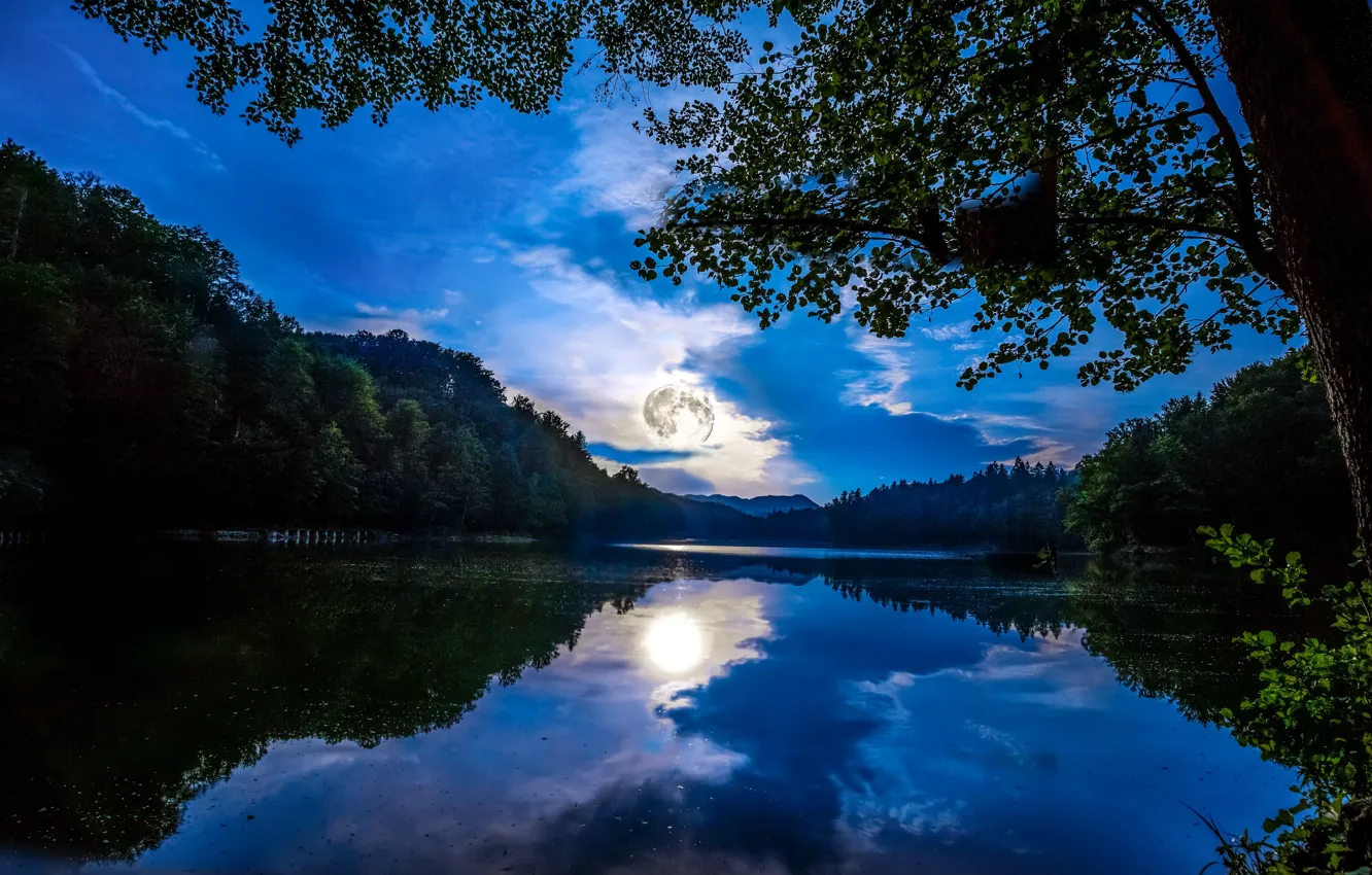 Photo wallpaper forest, the sky, clouds, light, trees, night, reflection, river