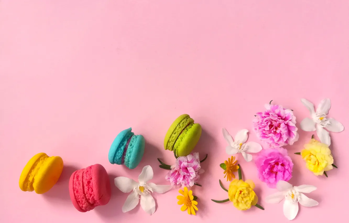 Photo wallpaper flowers, cake, macaroon