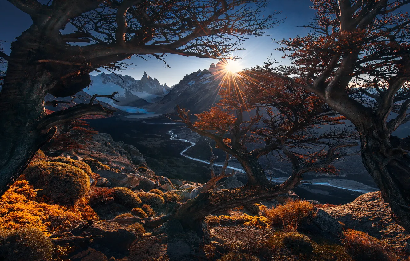 Photo wallpaper autumn, the sun, trees, mountains, branches, vegetation, Andes, Patagonia