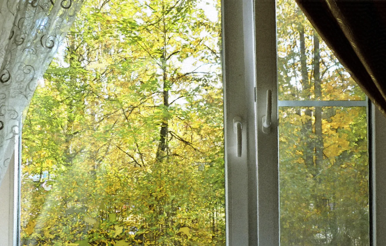Photo wallpaper Autumn is outside the window, autumn, October 2024